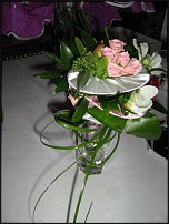 www.floristic.ru - .  