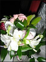 www.floristic.ru - .  