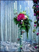 www.floristic.ru - .    , 