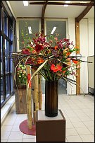 www.floristic.ru - . -     