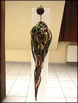 www.floristic.ru - . -     