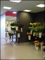 www.floristic.ru - .       - ?