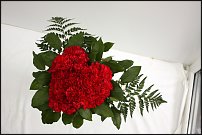 www.floristic.ru - .   