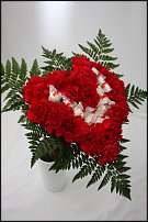 www.floristic.ru - .   