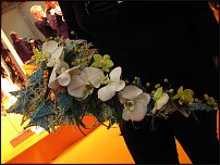 www.floristic.ru - .    ""   IPM 2011  