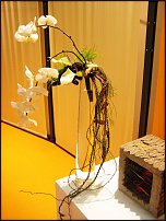 www.floristic.ru - Флористика. Показ мастеров школы "Николь" на выставке IPM 2011 в Германии