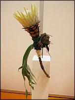 www.floristic.ru - .    .