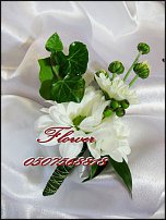 www.floristic.ru - .    