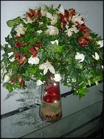 www.floristic.ru - .  