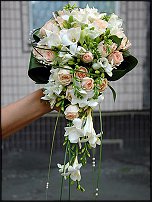 www.floristic.ru - .  .