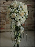 www.floristic.ru - .  .