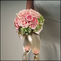 www.floristic.ru - .  .