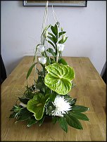 www.floristic.ru - .  