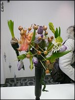 www.floristic.ru - .   