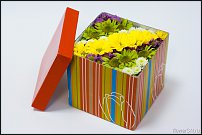 www.floristic.ru - .  