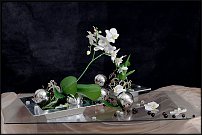 www.floristic.ru - .  