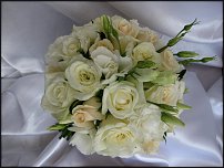 www.floristic.ru - .  .