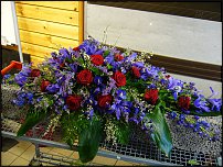 www.floristic.ru - .  