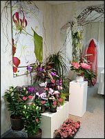 www.floristic.ru - .   