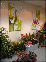 www.floristic.ru - .   