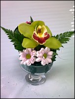 www.floristic.ru - .       8 !!!