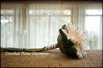 www.floristic.ru - .  .