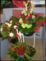 www.floristic.ru - .   