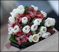 www.floristic.ru - .   - :)