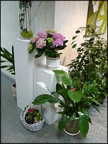 www.floristic.ru - Флористика. открыла цветочный магазин