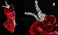 www.floristic.ru - .  - 2011 -  