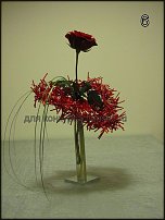 www.floristic.ru - Флористика. Февраль - 2011 - Аленький цветочек