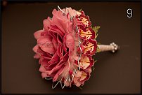 www.floristic.ru - .  - 2011 -  