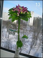 www.floristic.ru - Флористика. Февраль - 2011 - Аленький цветочек