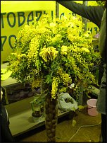 www.floristic.ru - .        -