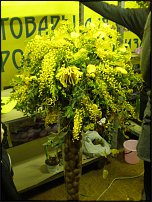 www.floristic.ru - .        -