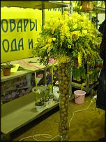 www.floristic.ru - .        -