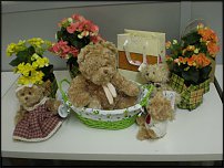 www.floristic.ru - .        -