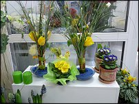 www.floristic.ru - .       - ?