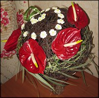 www.floristic.ru - .  - 
