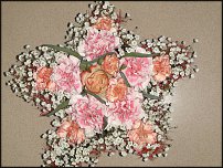 www.floristic.ru - .  .  .     23- 