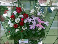 www.floristic.ru - .  