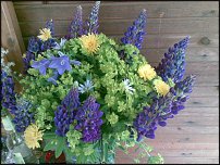 www.floristic.ru - .  