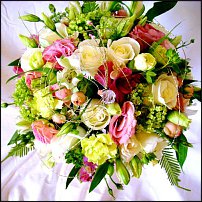 www.floristic.ru - .  .