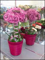 www.floristic.ru - .     