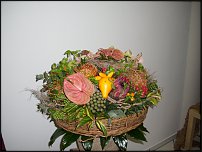 www.floristic.ru - .  