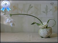 www.floristic.ru - .   