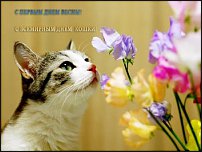 www.floristic.ru - Флористика. БОЛТАЛКА :)