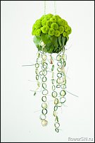 www.floristic.ru - .  - 