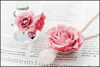 www.floristic.ru - .     -   !