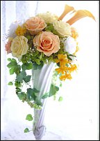 www.floristic.ru - .     -   !